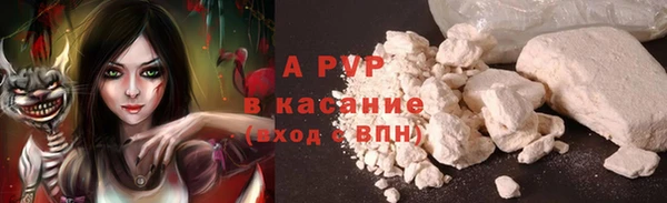 СК Абинск