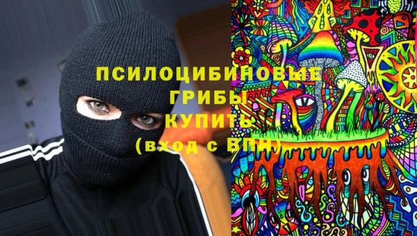 2c-b Абаза