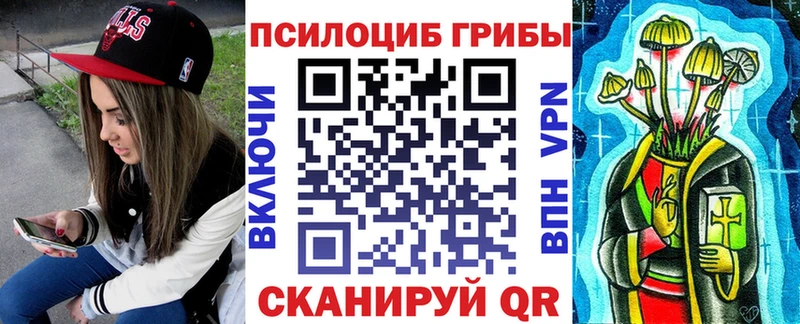 darknet как зайти  Ужур  Галлюциногенные грибы Magic Shrooms 